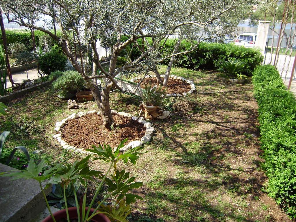 Apartments Kapetanovi Dvori Trogir Rom bilde
